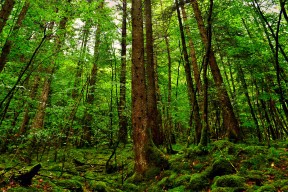 世界举重康复示范基地年度维护与升级手册第二版发布，世界举重锦标赛2021