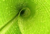 世界举重公开赛赛后营养方案推广至基层俱乐部，举重世界比赛